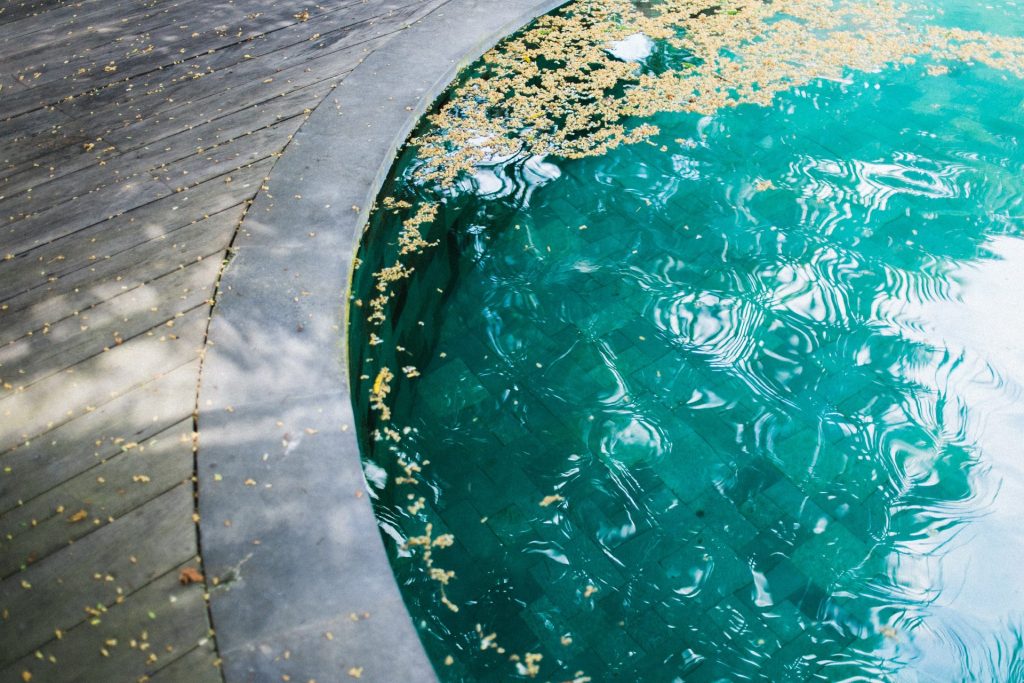 algues piscine