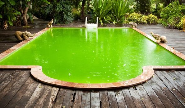 Comment traiter l’eau verte de la piscine ?